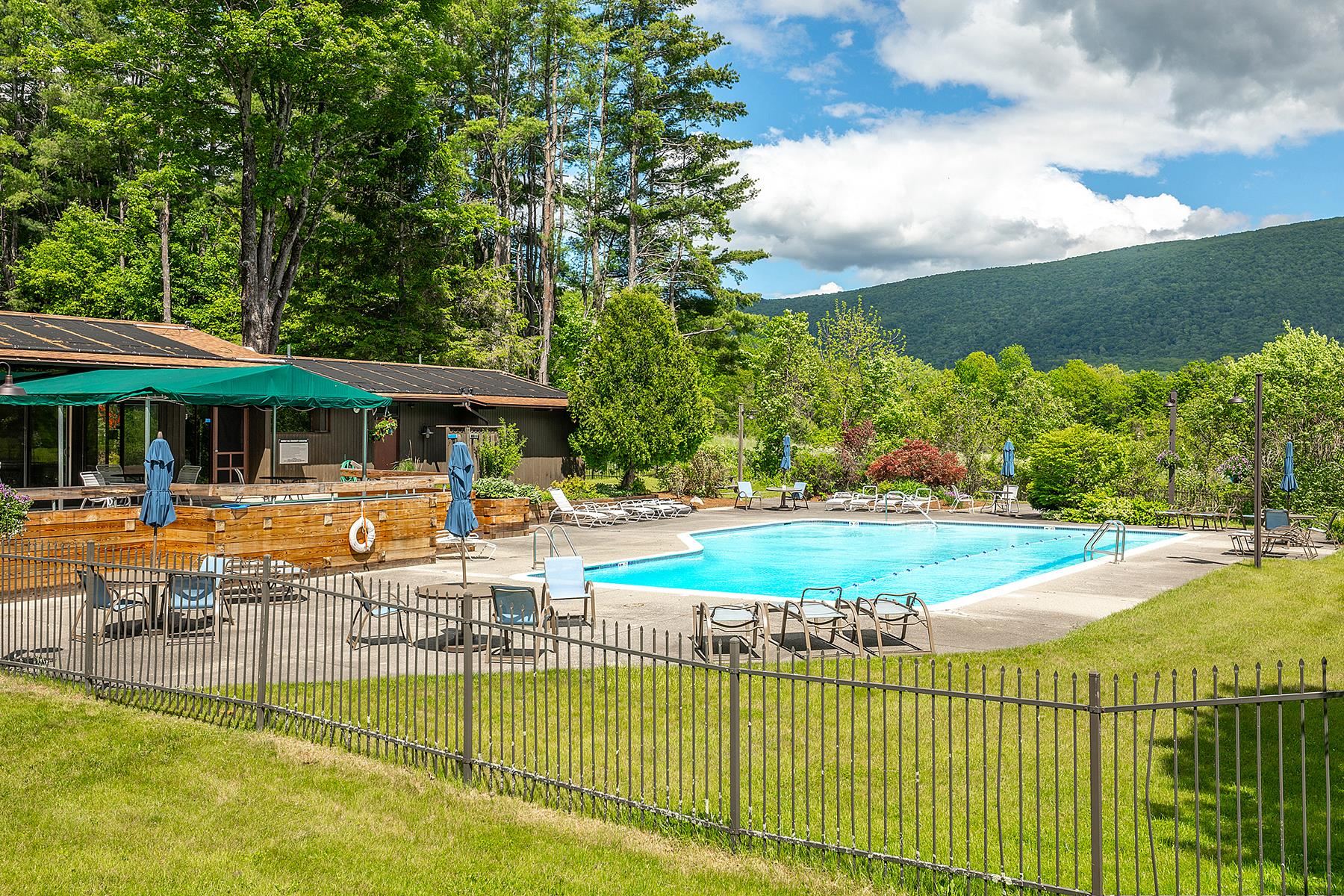 80 Murray Hill S Road, Unit 13 Manchester, VT 05255 - Photo 17 of 19