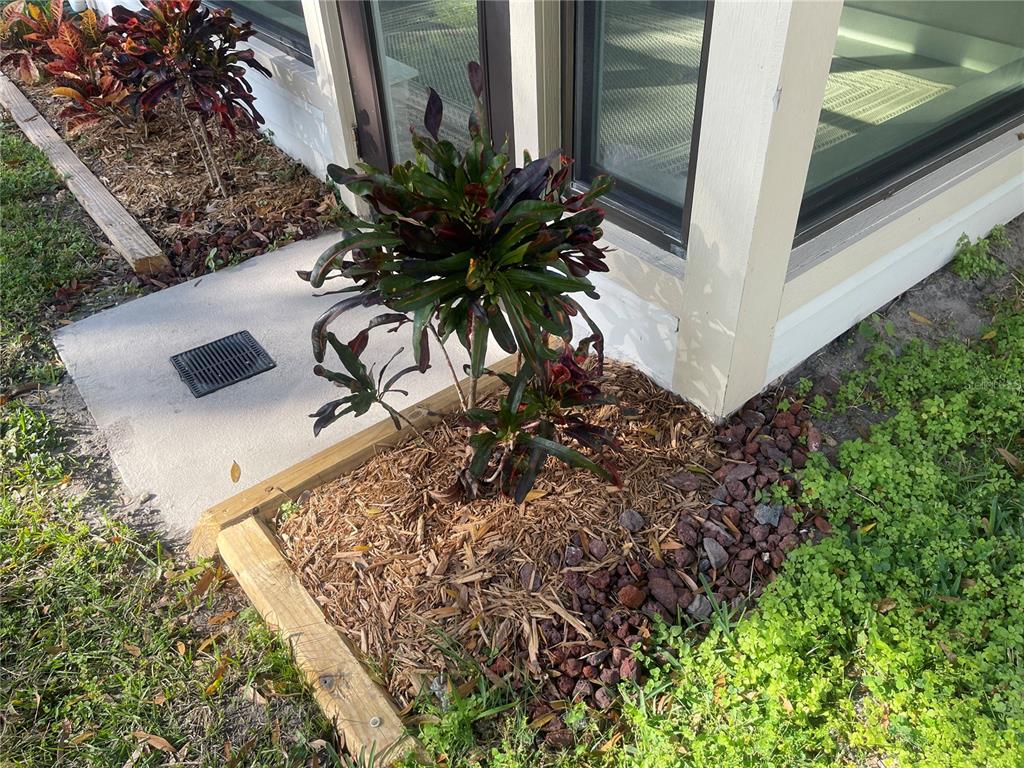 916 Timor Avenue Orlando, FL 32804 - Photo 26 of 60