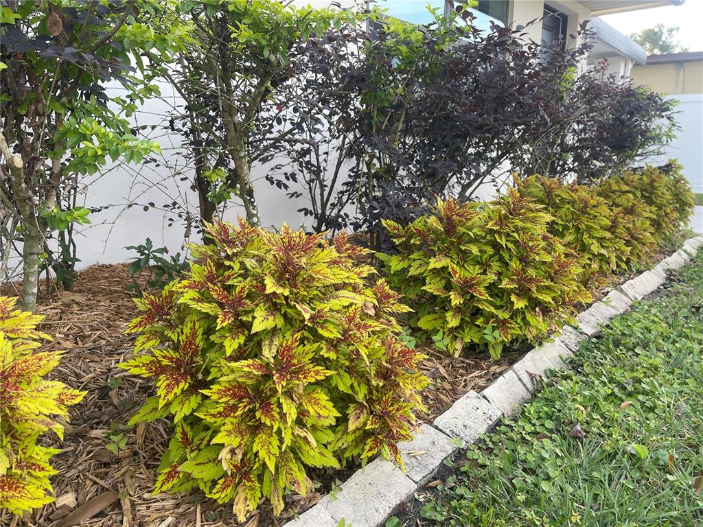 916 Timor Avenue Orlando, FL 32804 - Photo 29 of 60