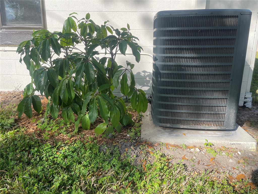 916 Timor Avenue Orlando, FL 32804 - Photo 58 of 60