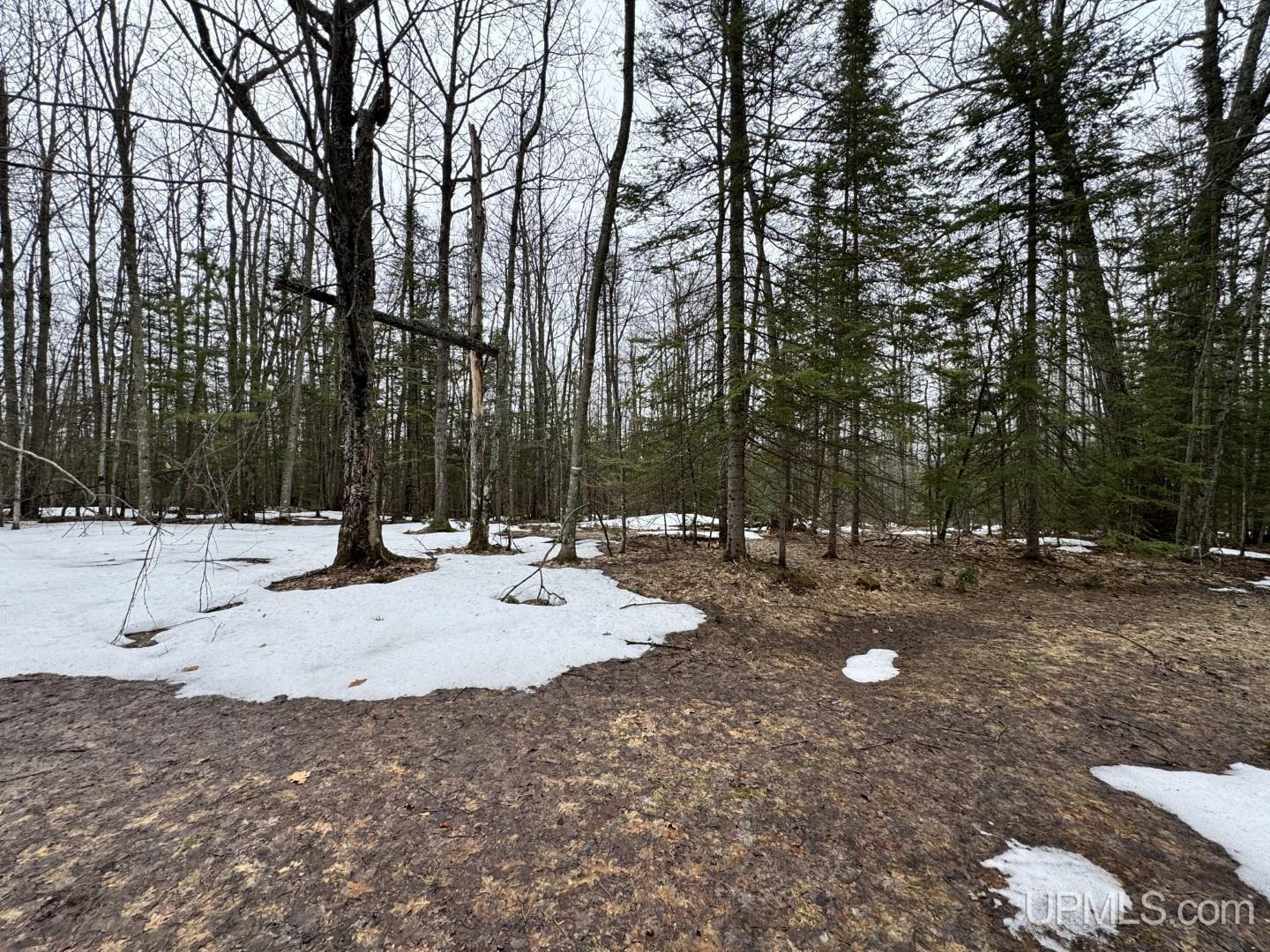 280-acres Off Pikes Peak Road Lanse, MI 49946 - Photo 16 of 21
