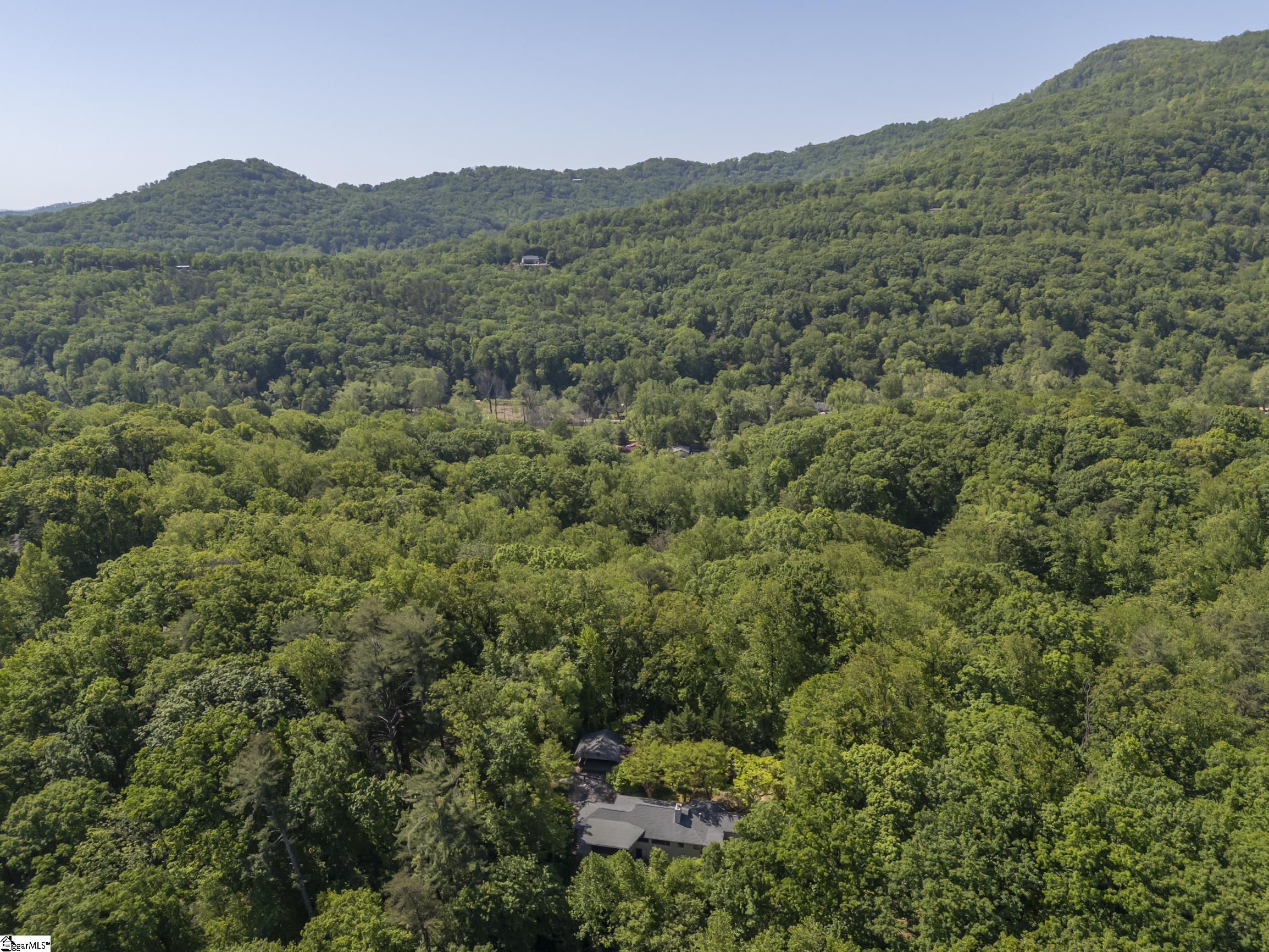 484 Sourwood Ridge Road Tryon, NC 28782 - Photo 42 of 44