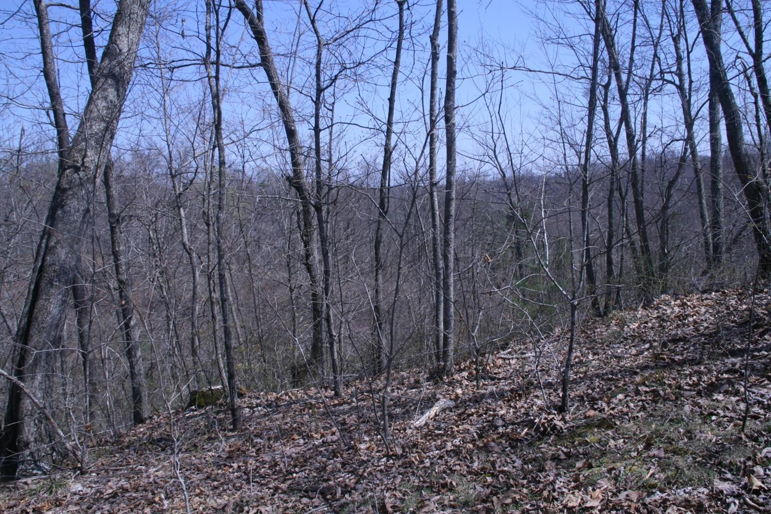 956 Kelse Holland Road Campton, KY 41301 - Photo 39 of 69 Photo 65