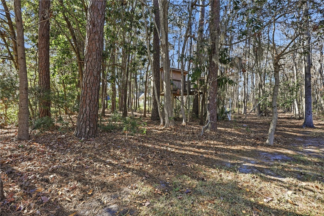 5 Dragonfly Point Savannah, GA 31406 - Photo 39 of 44