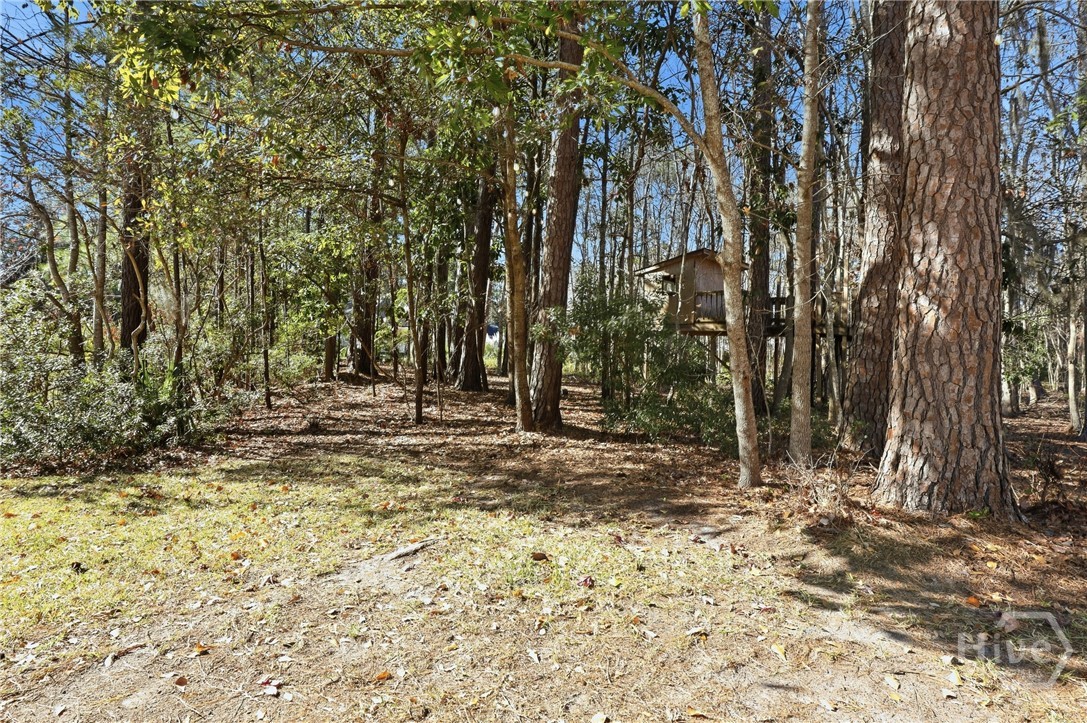 5 Dragonfly Point Savannah, GA 31406 - Photo 40 of 44