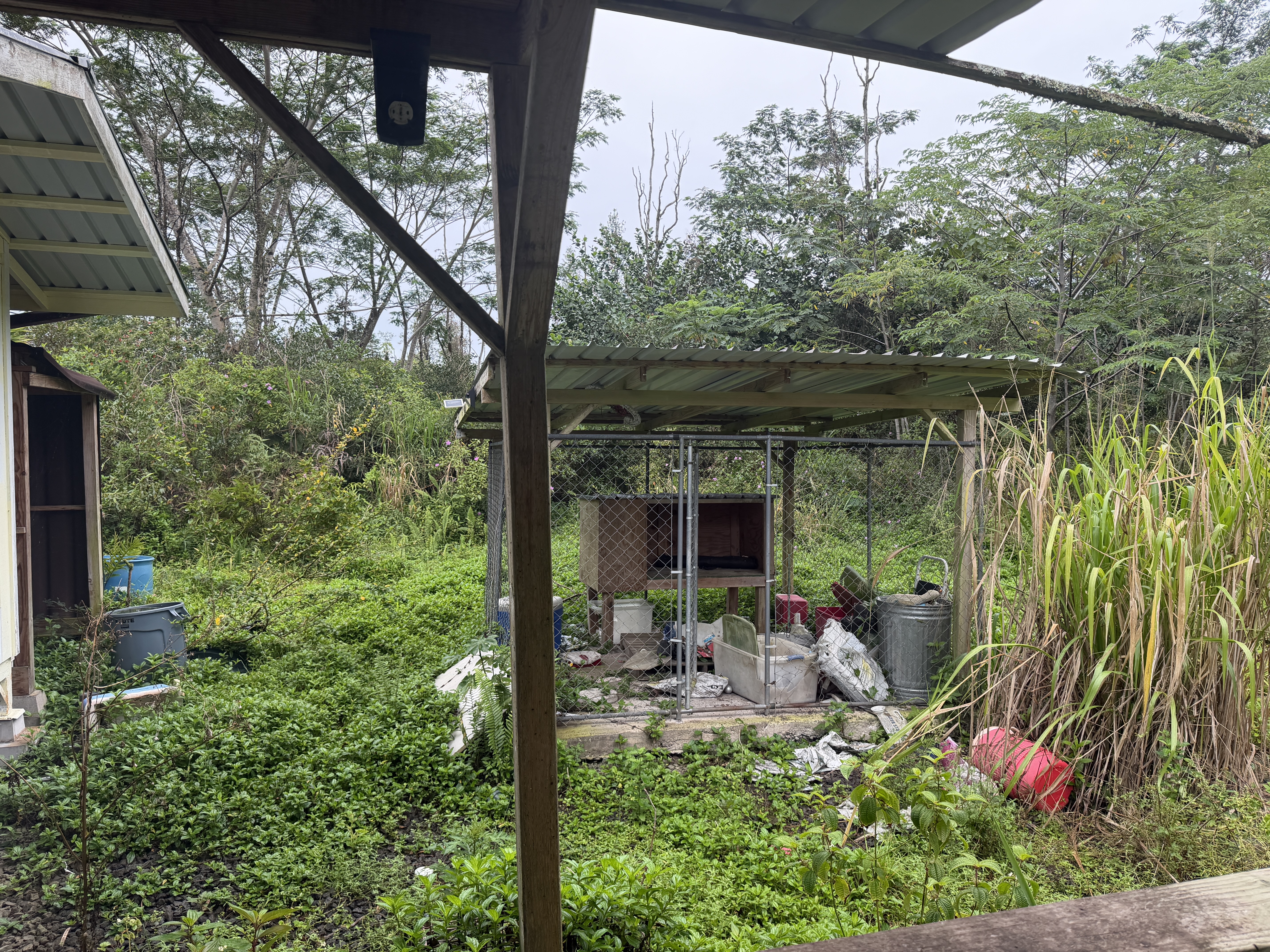 1310 A Pahoa Road Pahoa, HI 96778 - Photo 15 of 19 Gallery Image 15