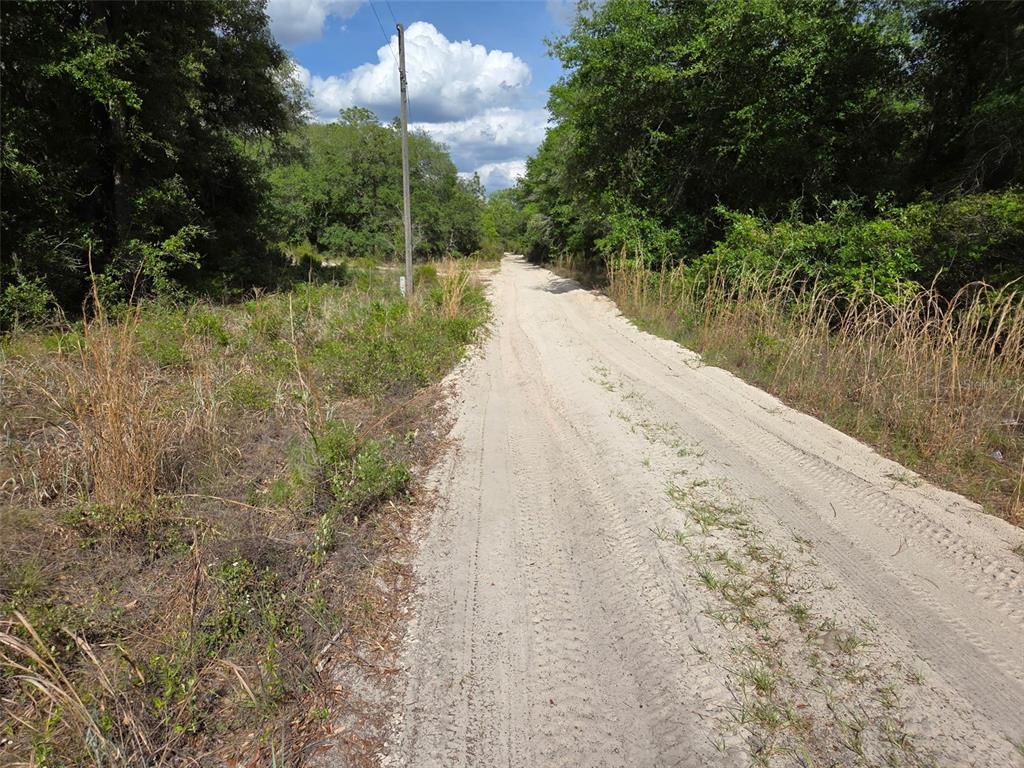 0 Northeast 85th Street Bronson, FL 32621 - Photo 8 of 9