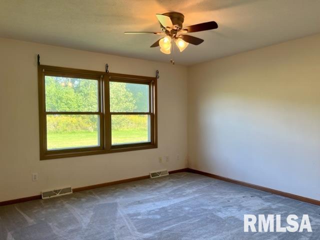 15380 Waller Road Fulton, IL 61252 - Photo 19 of 38