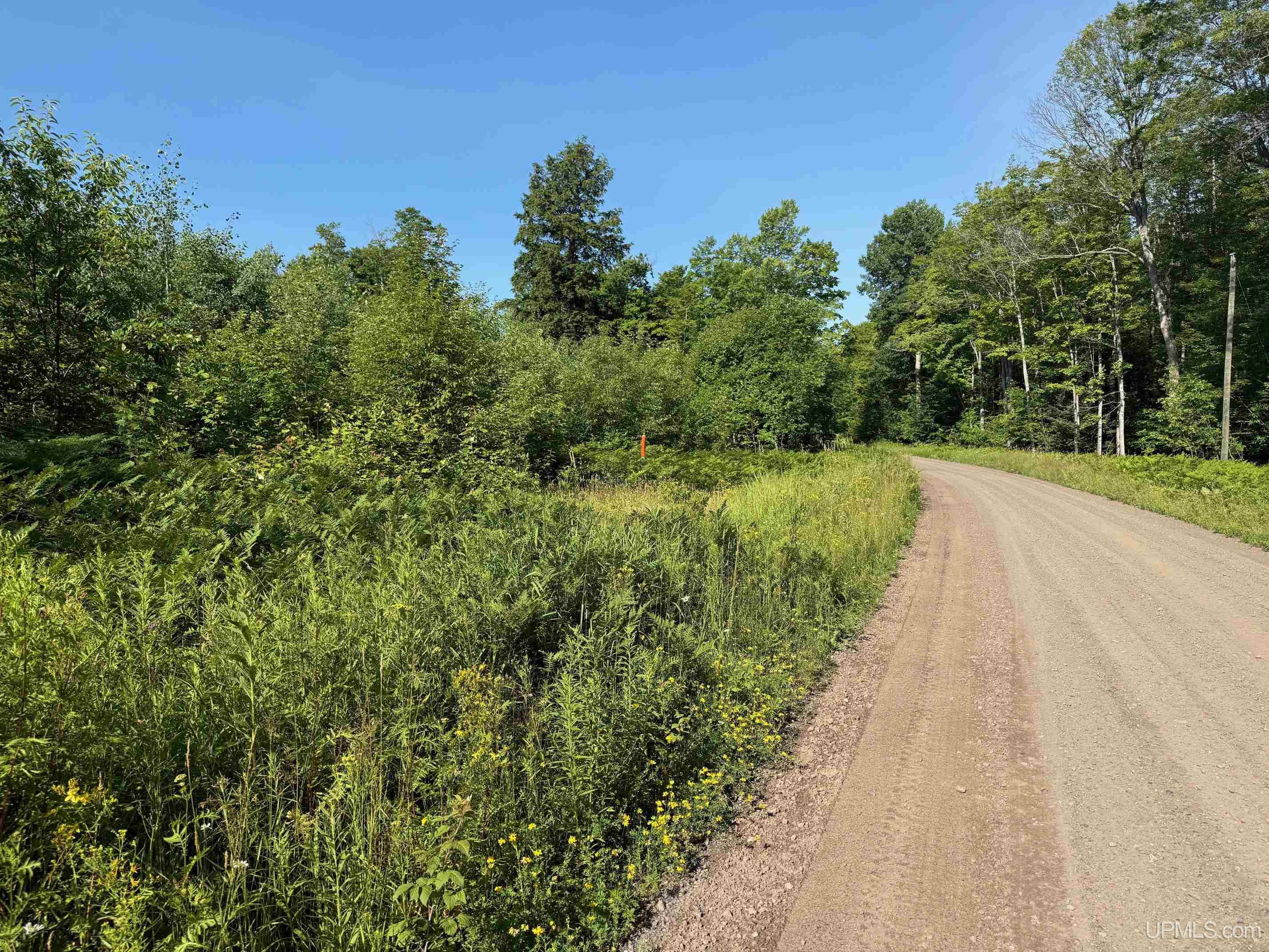 Tbda Nelson Road Skanee, MI 49962 - Photo 13 of 25 Gallery Image 13