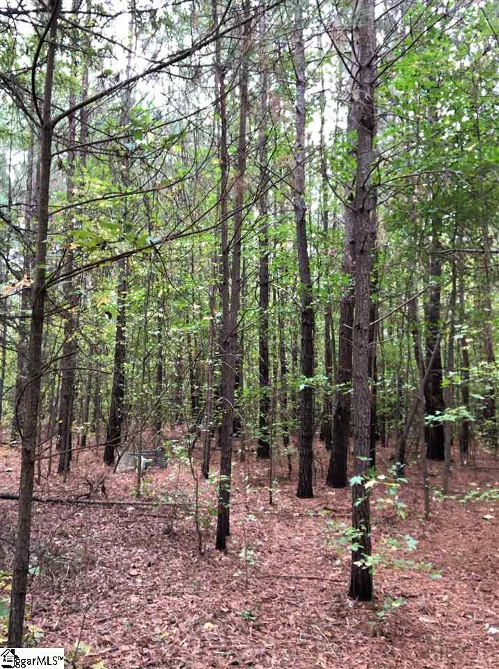 151 Edker Burns Road Belton, SC 29627 - Photo 3 of 5