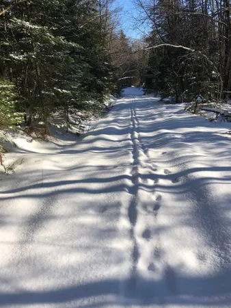 $715,000 | 1511 West Hill Road, Lincoln, VT 05443