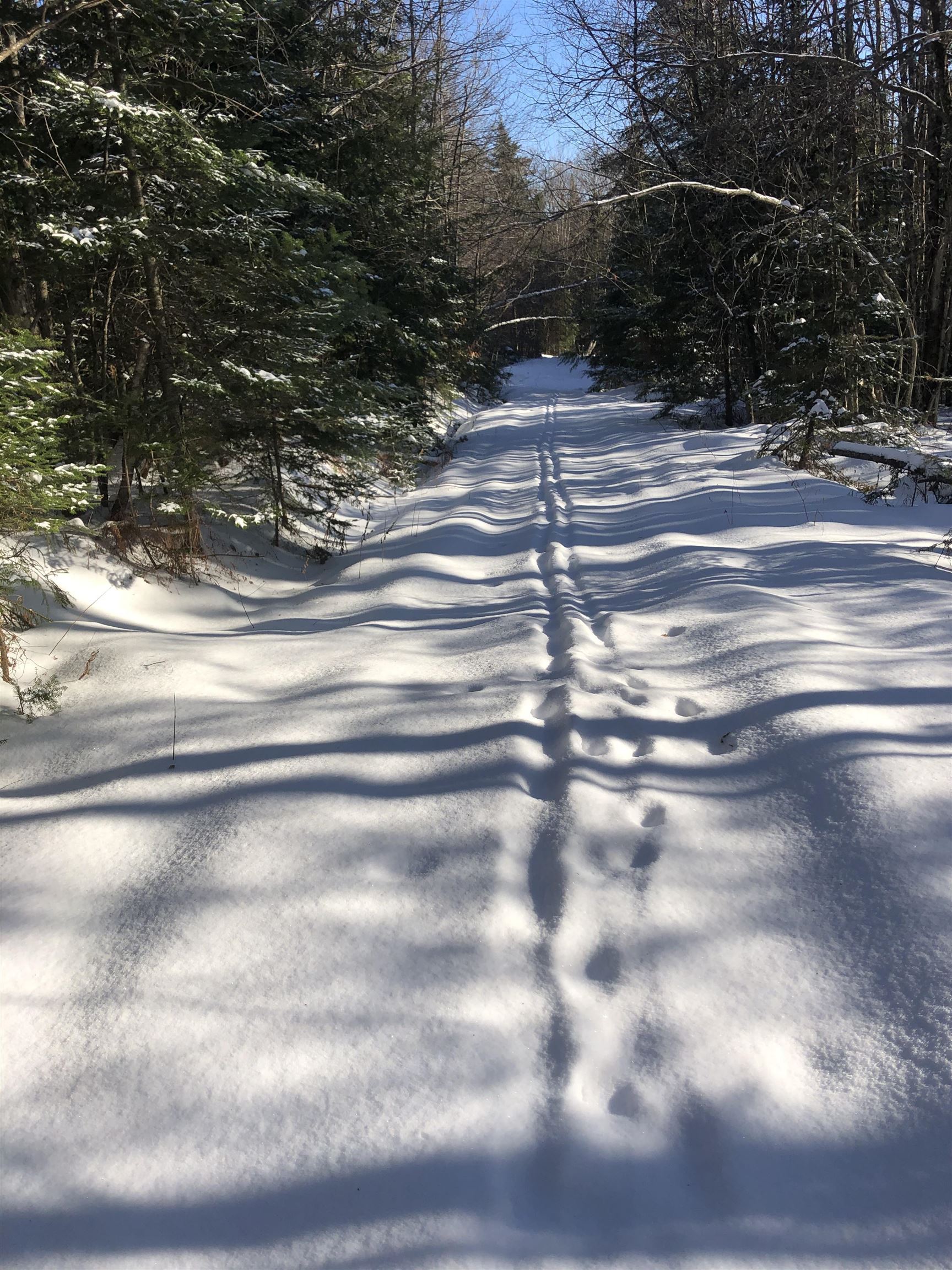 1511 West Hill Road Lincoln, VT 05443 - Photo 48 of 48