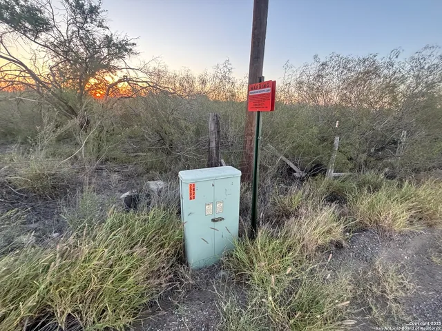 a flag is sitting in the middle of a forest