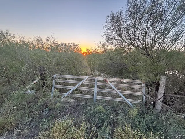 a view of a backyard with trees