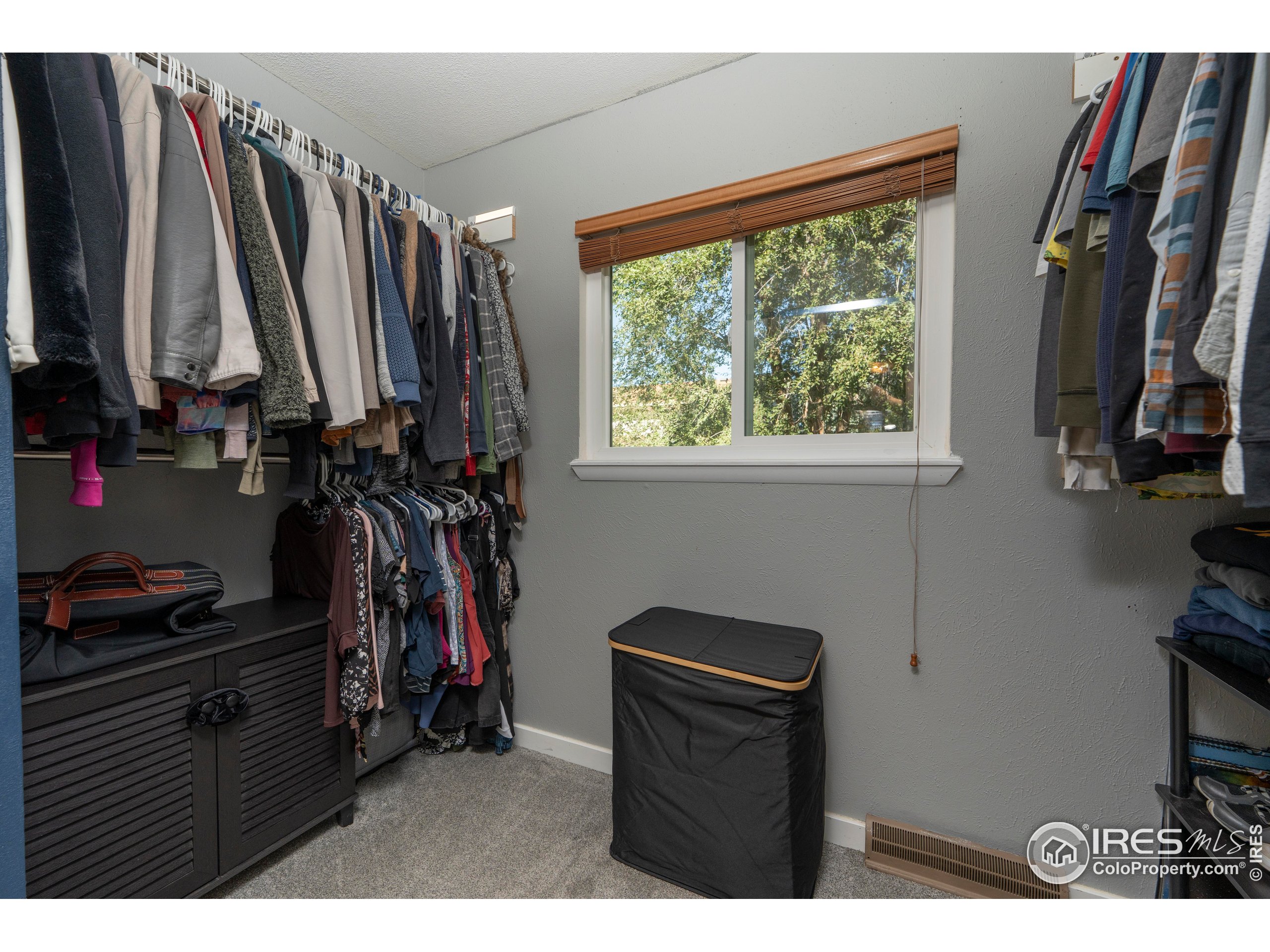 1101 20th Street Southwest Loveland, CO 80537 - Photo 11 of 24