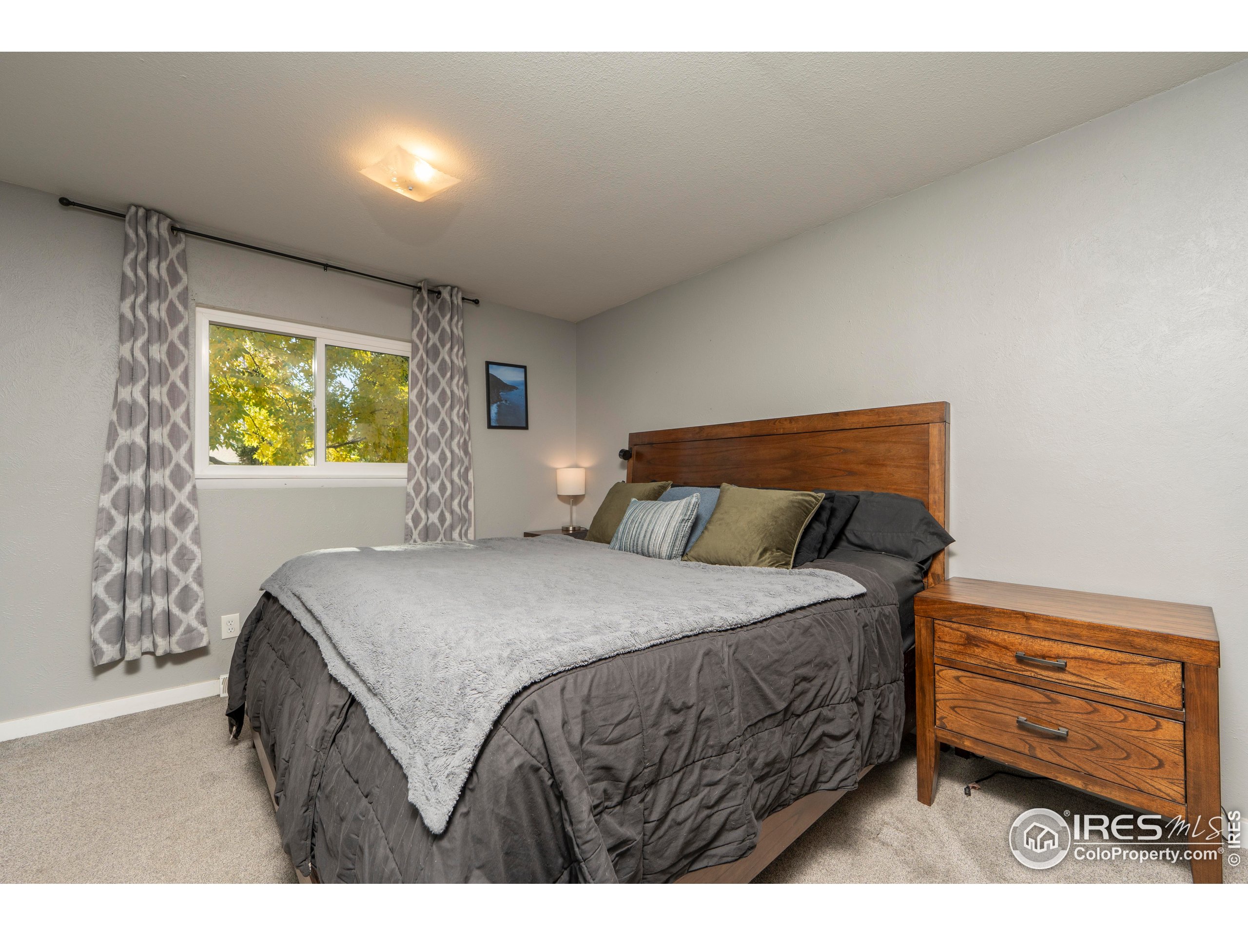 1101 20th Street Southwest Loveland, CO 80537 - Photo 8 of 24