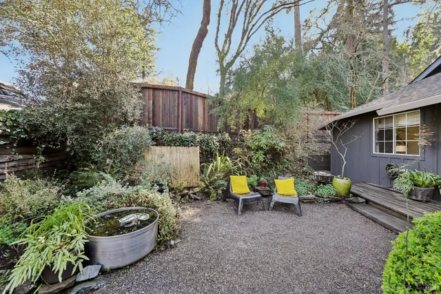 a view of a backyard with plants and a garden
