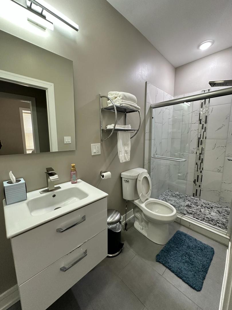 6807 South Calumet Avenue, Unit 1 Chicago, IL 60637 - Photo 5 of 17 a bathroom with a toilet sink and mirror