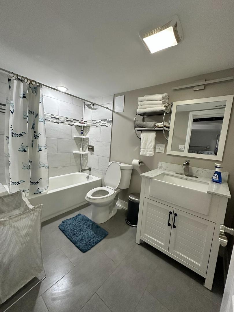 6807 South Calumet Avenue, Unit 1 Chicago, IL 60637 - Photo 6 of 17 a bathroom with a sink a toilet and shower