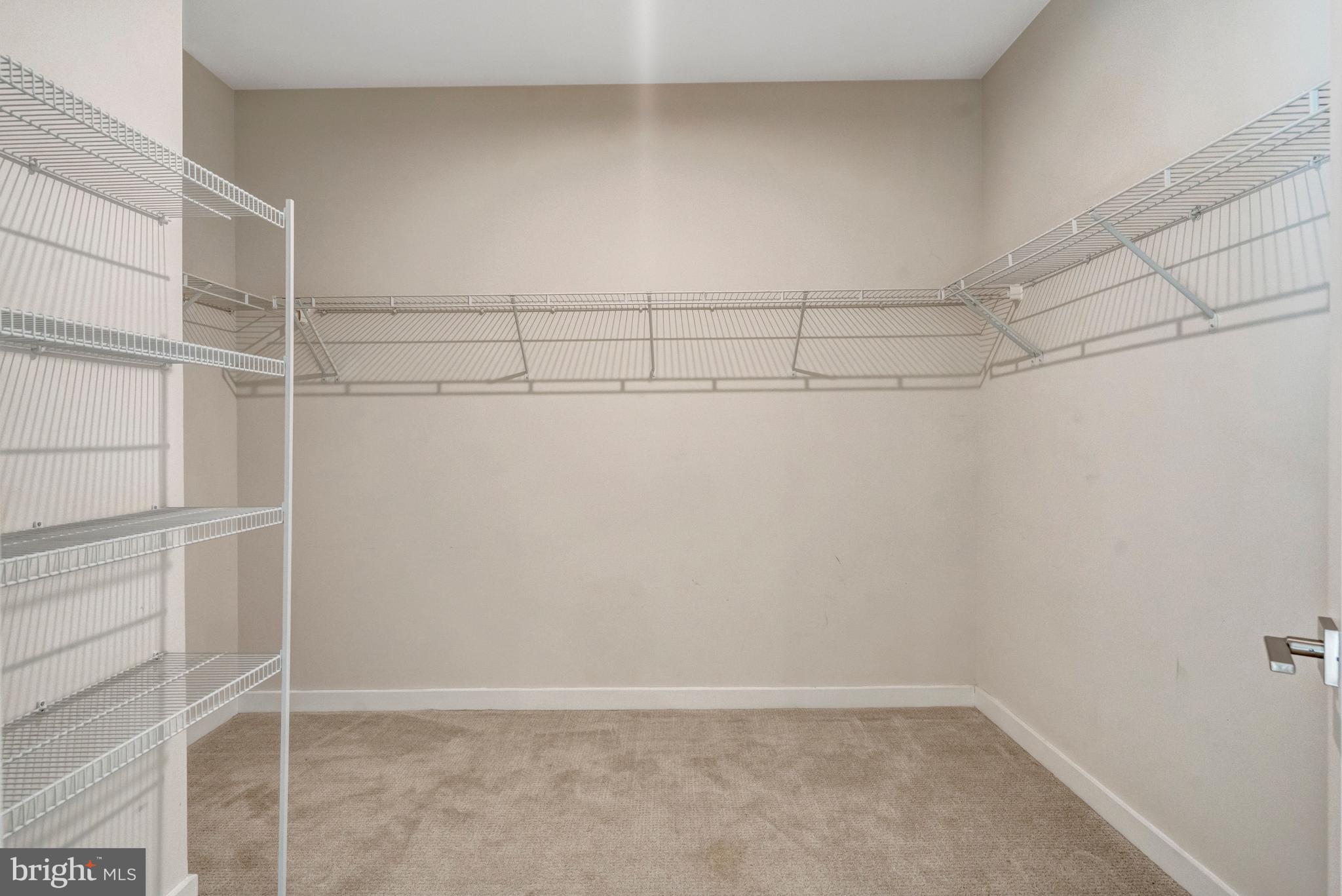 22379 Roanoke Rise Terrace Ashburn, VA 20148 - Photo 31 of 40 a view of an empty walk in closet