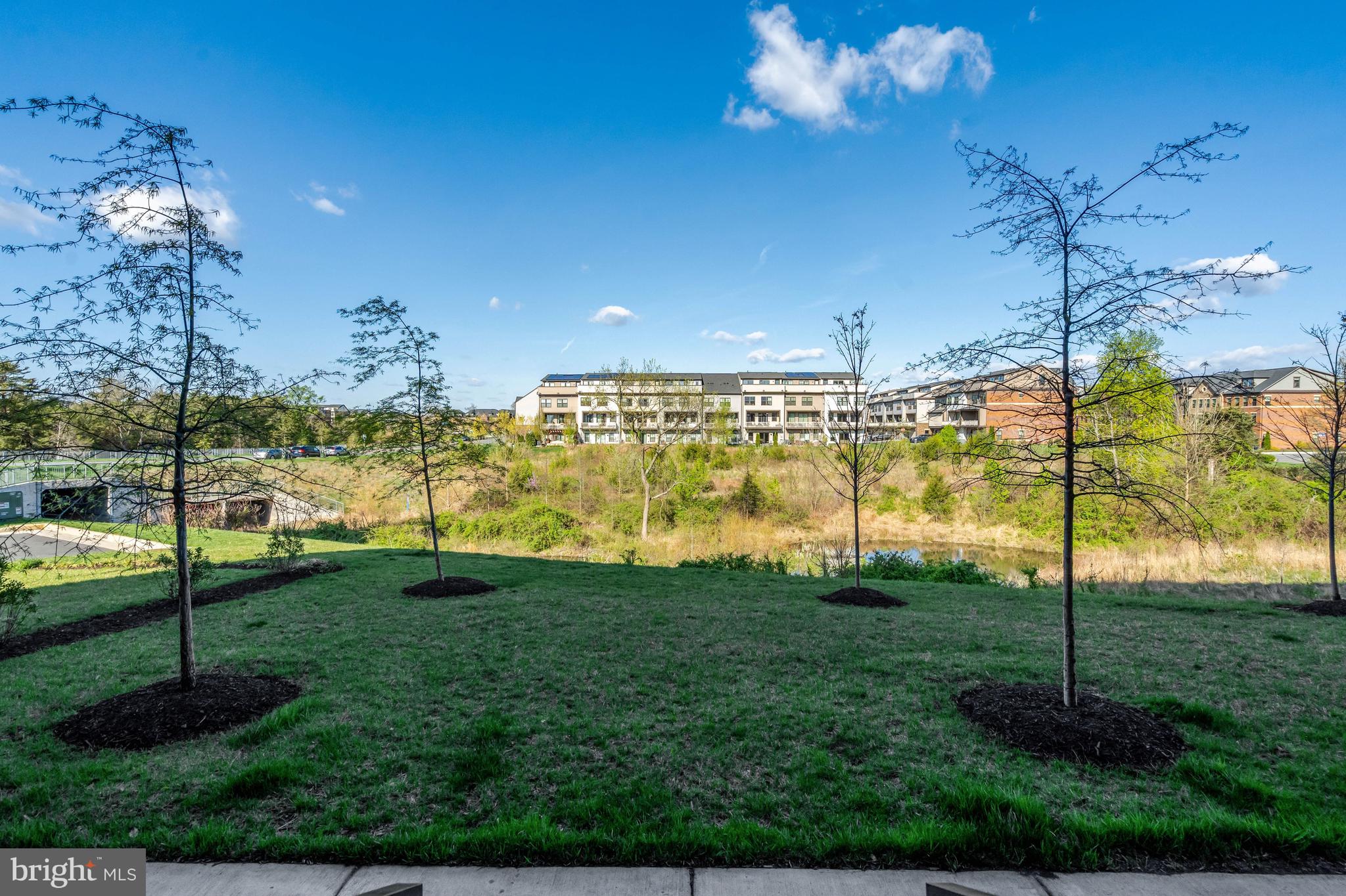 22379 Roanoke Rise Terrace Ashburn, VA 20148 - Photo 33 of 40 a view of a garden