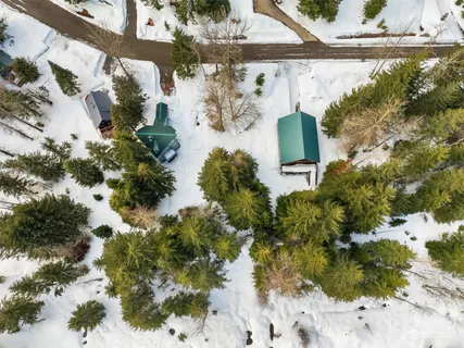 a view of a tree with a yard