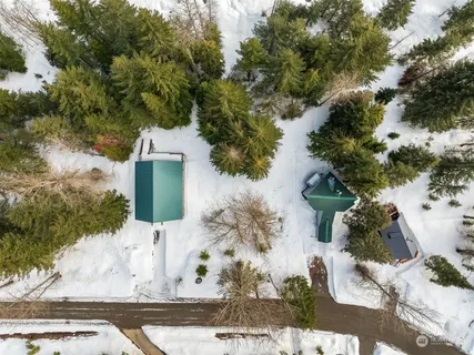 a view of a yard with plants