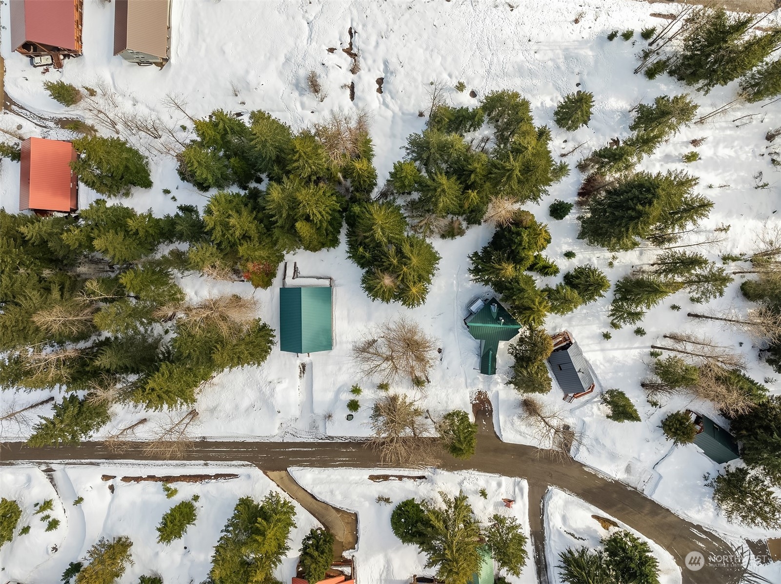22 Chamonix Place Snoqualmie Pass, WA 98068 - Photo 4 of 9 a view of a yard with plants