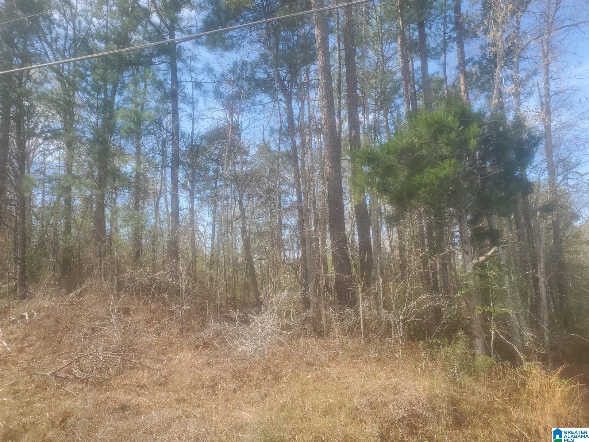 East Hargrove Road, Unit 32777 Tuscaloosa, AL 35401 - Photo 4 of 4