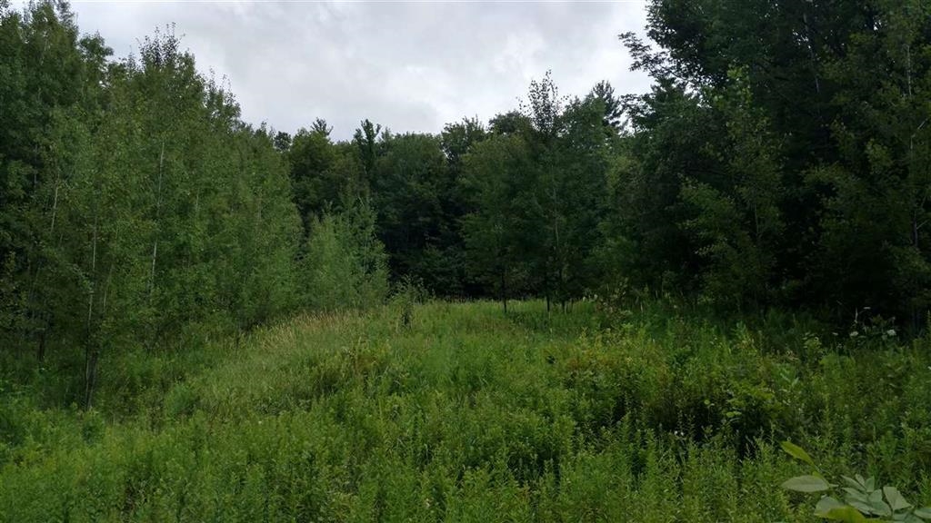 0 Homestead Road Deering, NH 03244 - Photo 1 of 3