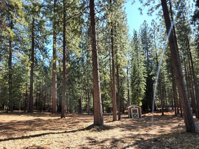 a backyard of a house with lots of trees