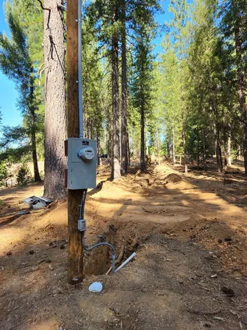 a backyard of a house with a tree