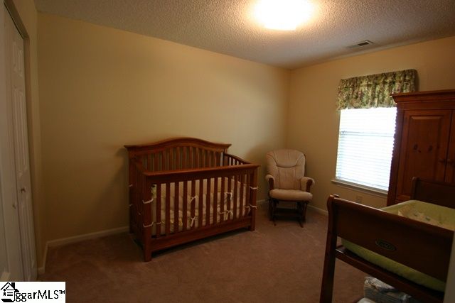 437 Riverside Chase Circle Greer, SC 29650 - Photo 7 of 10