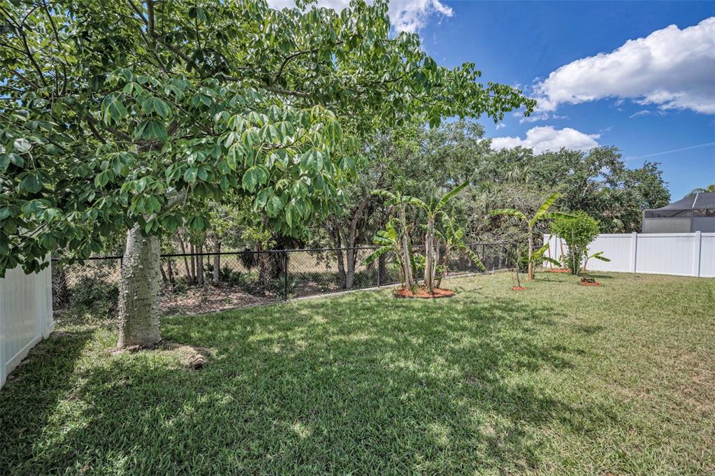 10106 Tolman Drive Hudson, FL 34667 - Photo 43 of 65