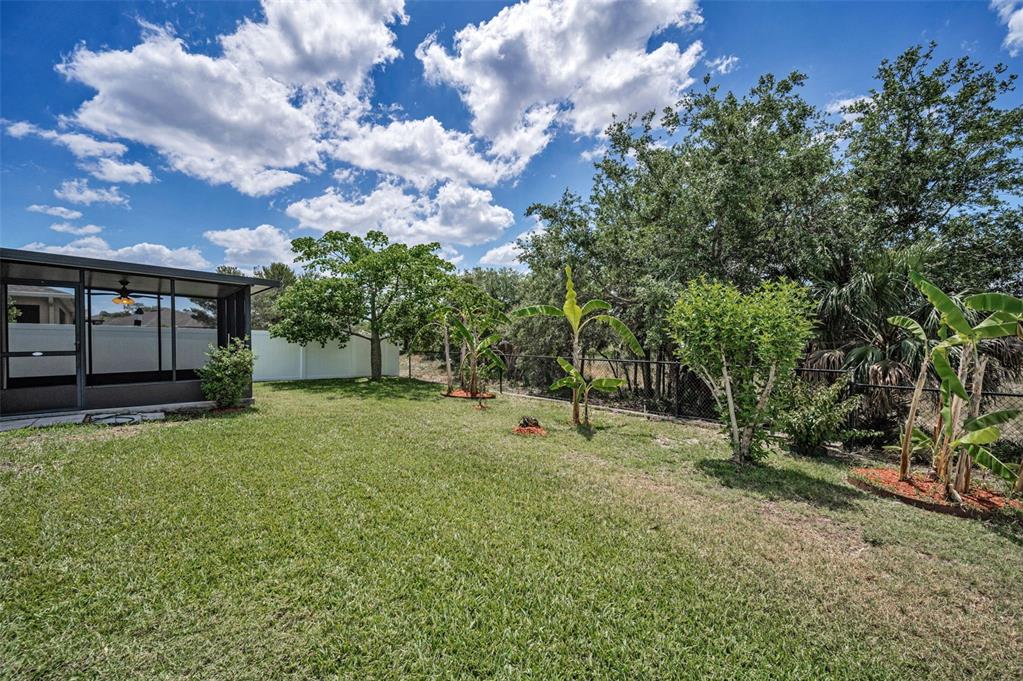 10106 Tolman Drive Hudson, FL 34667 - Photo 46 of 66 a view of a tree in front of a house