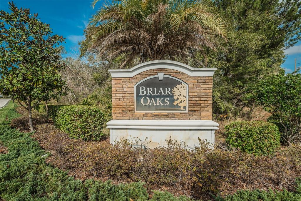 10106 Tolman Drive Hudson, FL 34667 - Photo 47 of 66