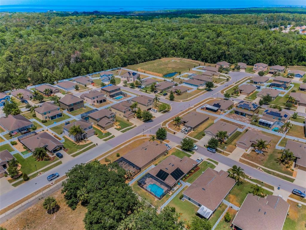 10106 Tolman Drive Hudson, FL 34667 - Photo 54 of 65