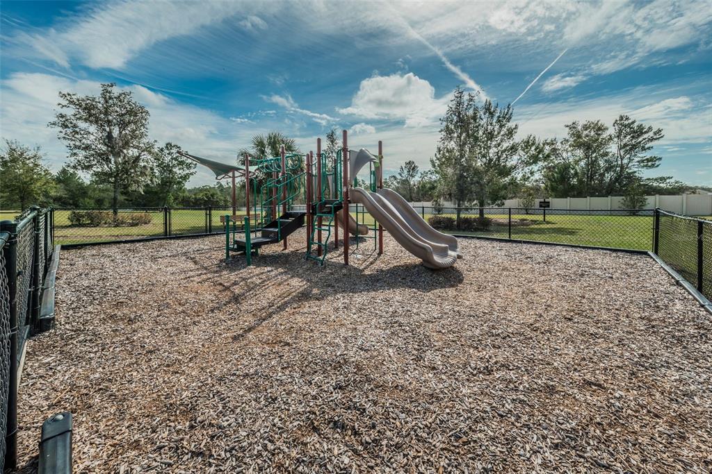 10106 Tolman Drive Hudson, FL 34667 - Photo 55 of 65