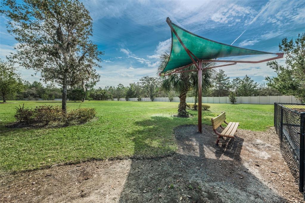 10106 Tolman Drive Hudson, FL 34667 - Photo 57 of 66