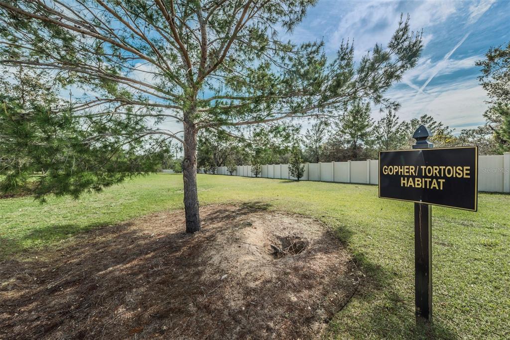 10106 Tolman Drive Hudson, FL 34667 - Photo 59 of 65