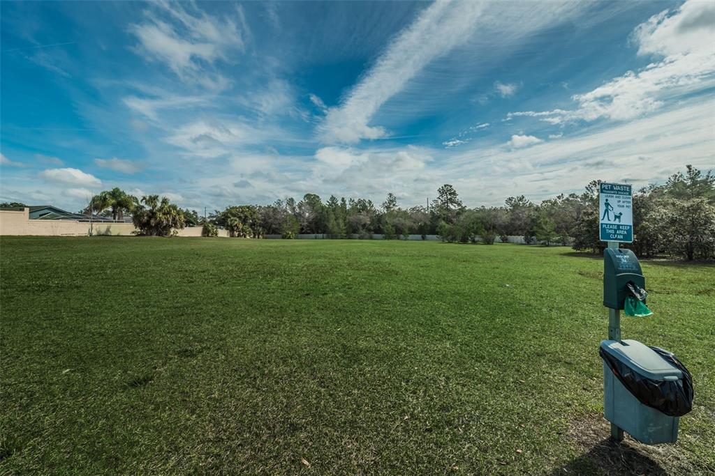 10106 Tolman Drive Hudson, FL 34667 - Photo 59 of 66