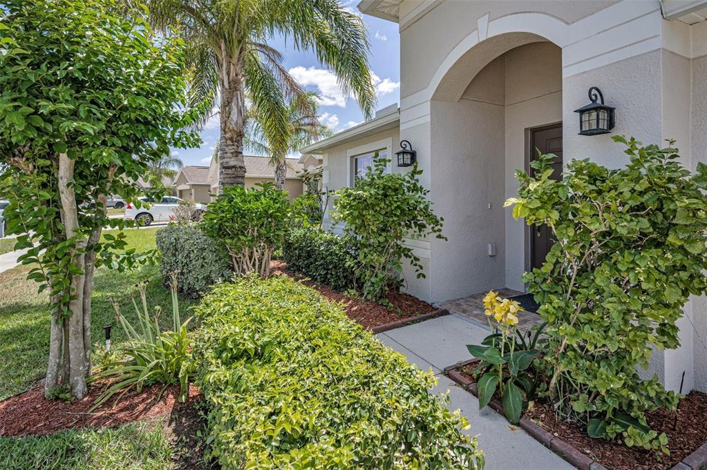 10106 Tolman Drive Hudson, FL 34667 - Photo 66 of 66