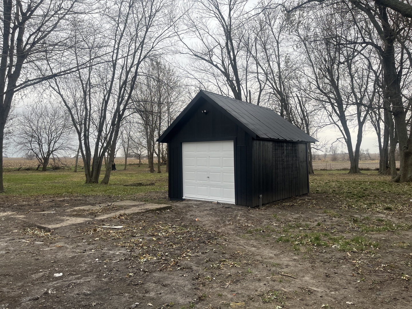 46 North 46th Road Mendota, IL 61342 - Photo 38 of 48 a house that has a tree in front of it