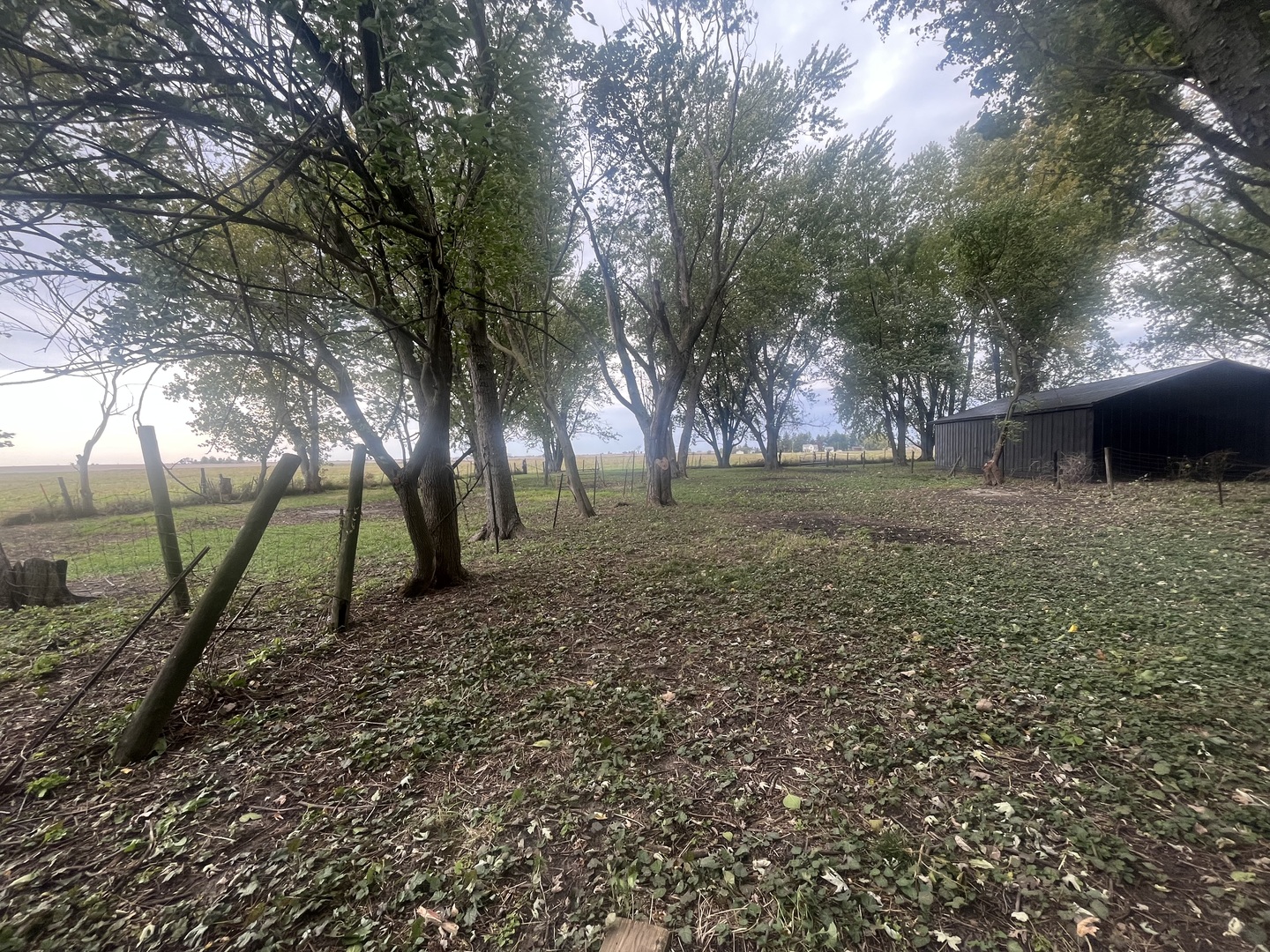 46 North 46th Road Mendota, IL 61342 - Photo 42 of 48 a view of a park