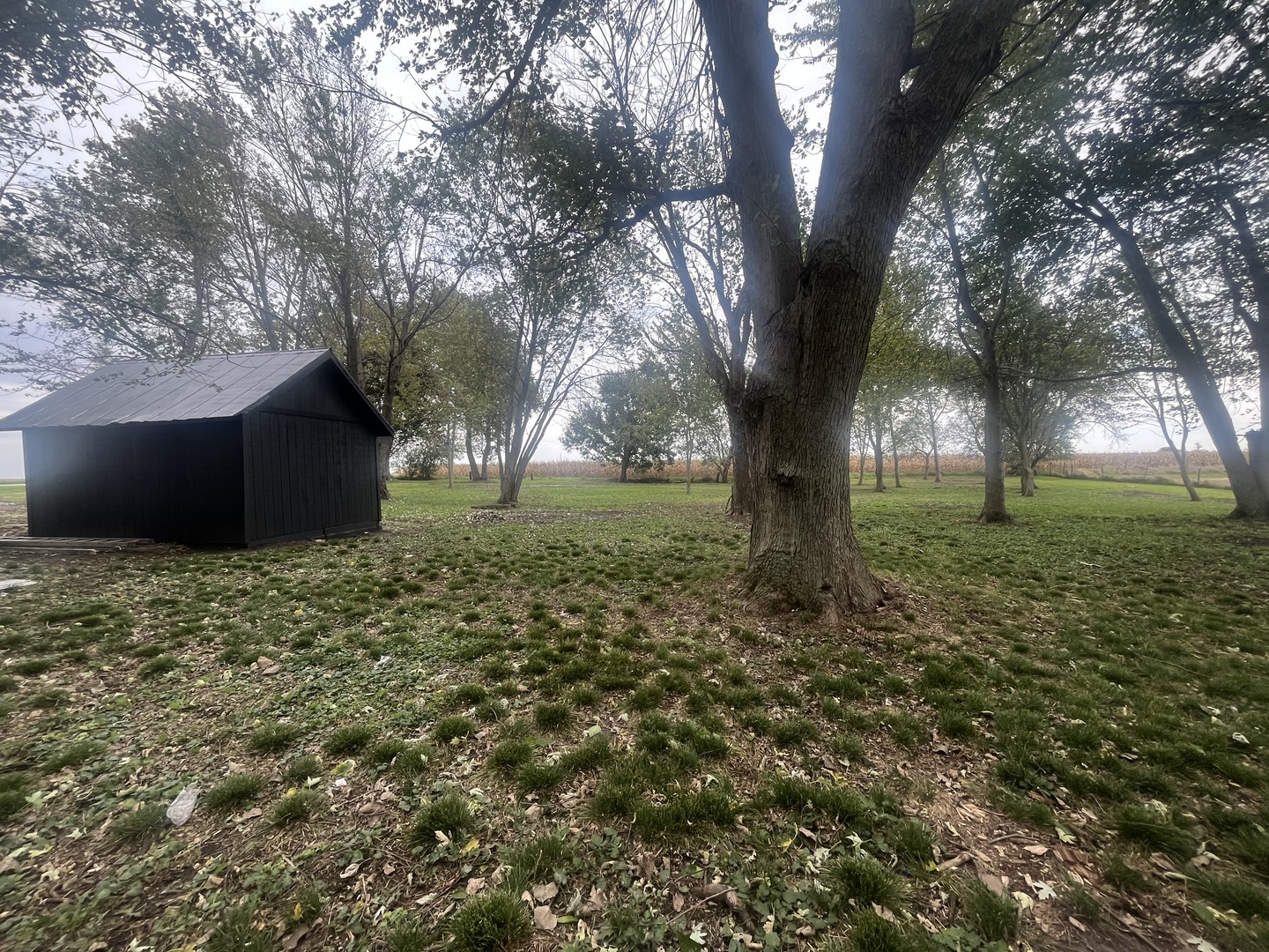 46 North 46th Road Mendota, IL 61342 - Photo 44 of 48 a big yard with lots of green space and a fountain