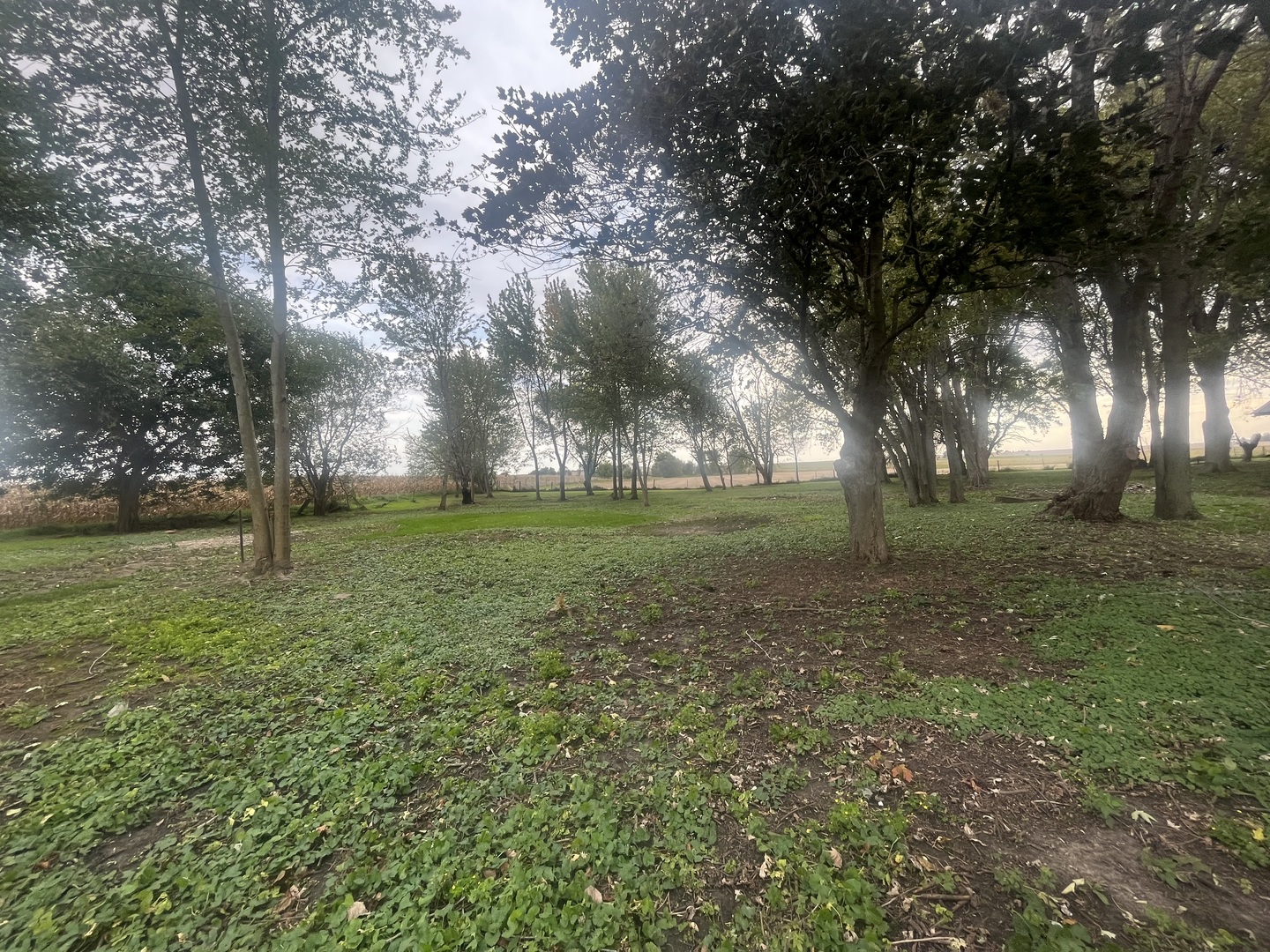 46 North 46th Road Mendota, IL 61342 - Photo 45 of 48 a backyard of a house with lots of green space