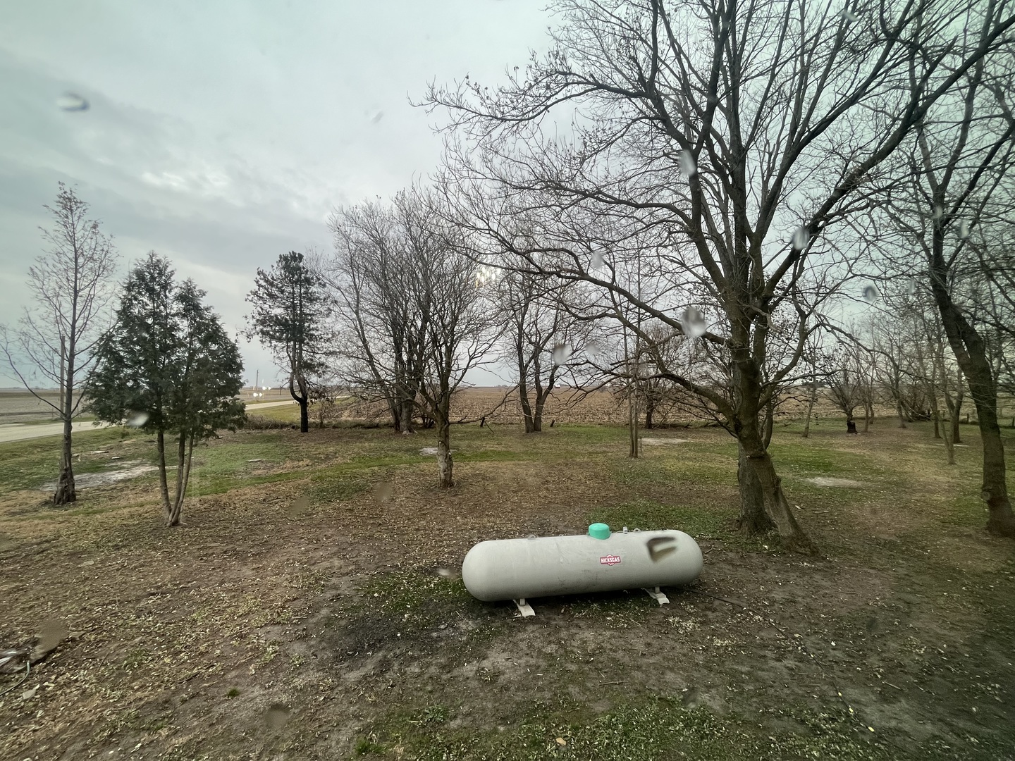 46 North 46th Road Mendota, IL 61342 - Photo 46 of 48 a view of a backyard with trees