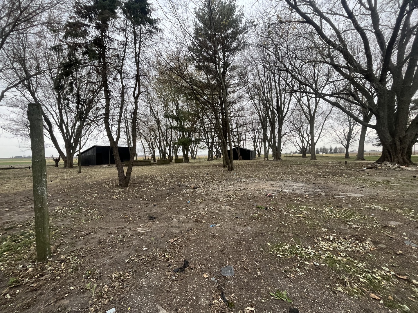 46 North 46th Road Mendota, IL 61342 - Photo 47 of 48 a view of outdoor space with trees