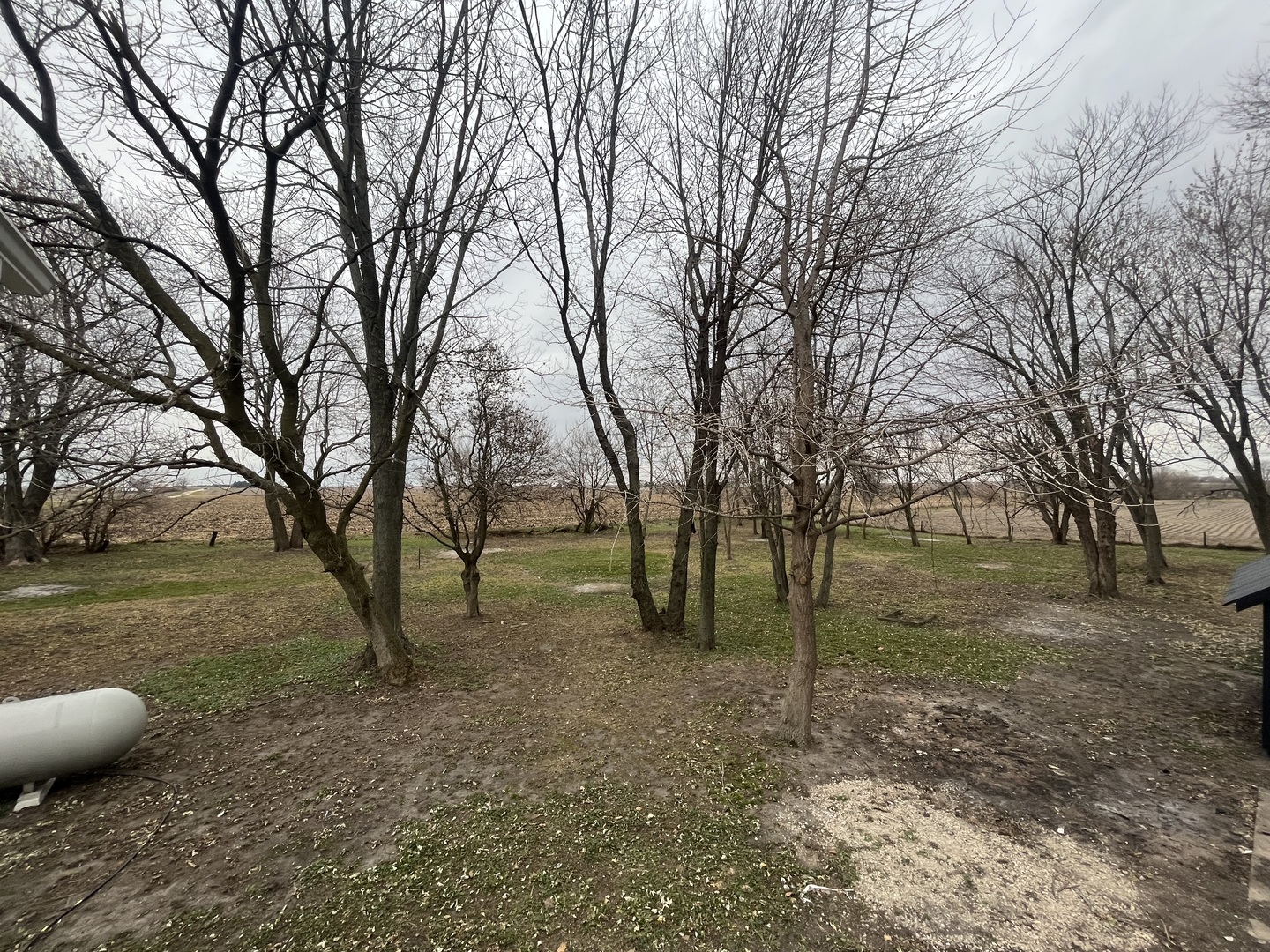 46 North 46th Road Mendota, IL 61342 - Photo 48 of 48 a view of a backyard with large trees