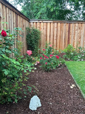 a view of backyard with potted plants and wooden fence